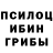 Галлюциногенные грибы Cubensis Sergei Lugovskoi