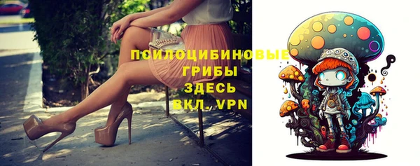 тгк Белокуриха