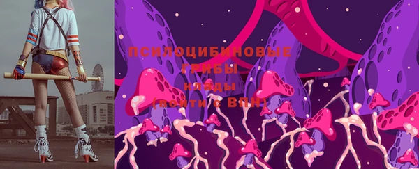 тгк Белокуриха
