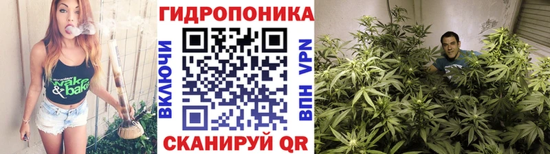 Марихуана Amnesia Шарыпово